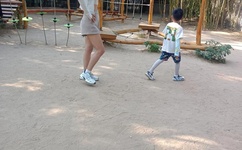 射天狼百度影音